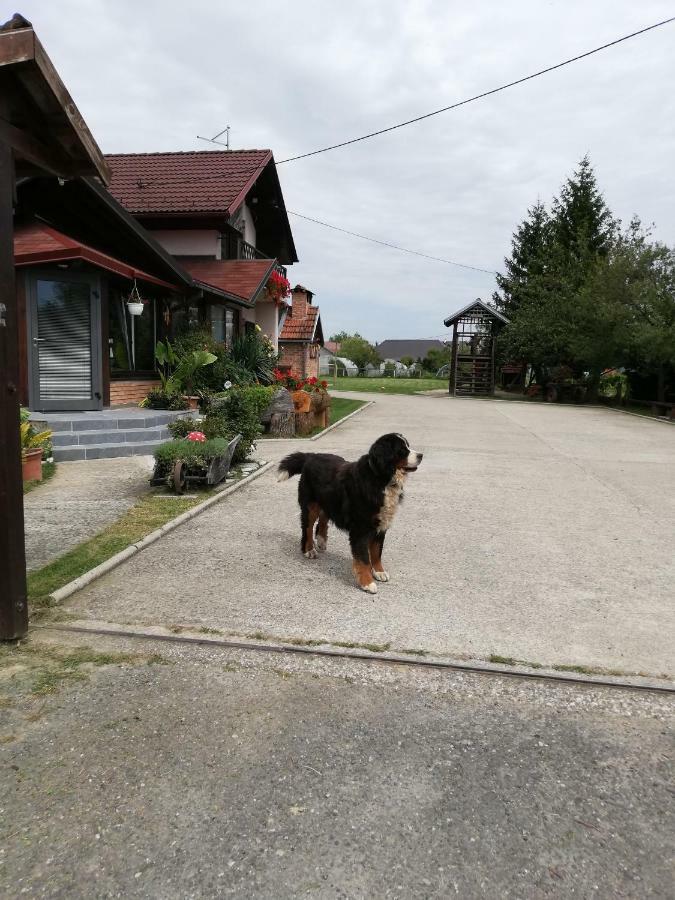 T.S.G. Simanovic 호텔 Klinca Sela 외부 사진